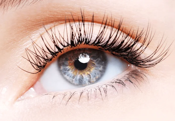 Lashes-extension-Classic-full